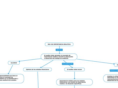 Nia 320 Importancia Relativa Mind Map