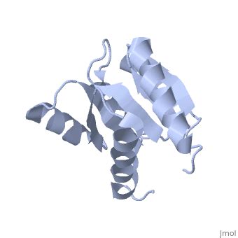 Chemotaxis Protein Proteopedia Life In 3D