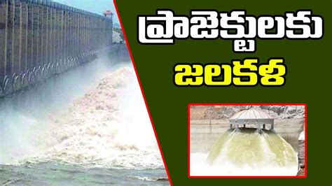 Water Inflows Into Telangana Projects Due To Heavy Rains Kaleshwaram