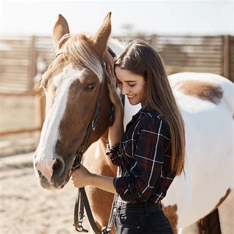 Horse Liniment: Unveiling the Secret to Equine Relief | Vetericyn