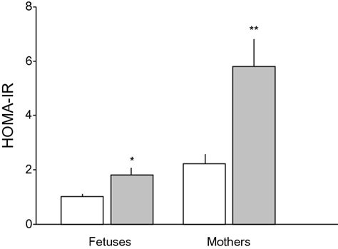 Homeostasis Model Assessment Of Insulin Resistance Homa Ir Index In