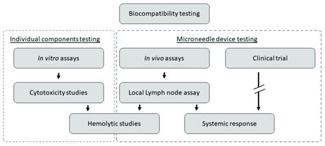 Schematic Diagram Showing The Biocompatibility Assessment Process