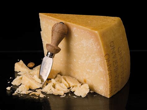 Parmigiano Reggiano Ulrike Baumann S Spezialit Ten