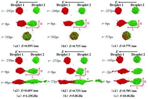 Dynamic Coalescence And Separation Process Of The Two Droplets Under