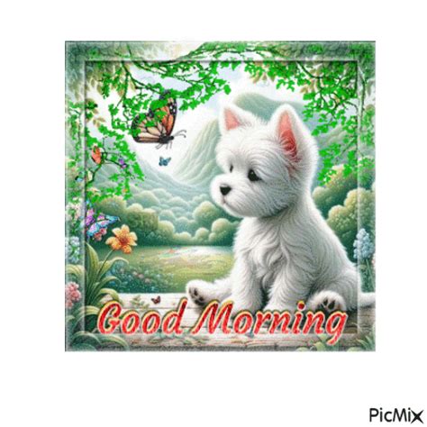 Good Morning White Dog - Free animated GIF - PicMix