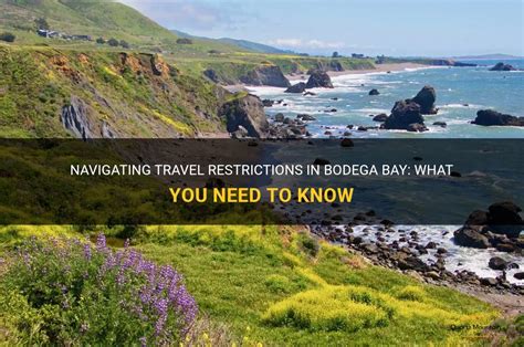 Navigating Travel Restrictions In Bodega Bay What You Need To Know