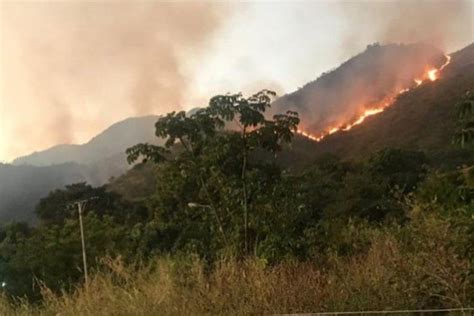 Incendios Forestales Afectan A La Flora Y Fauna Del Parque Nacional