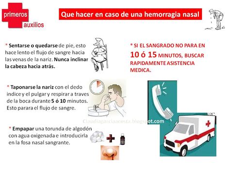 O Que Fazer Em Caso De Hemorragia Interna Braincp