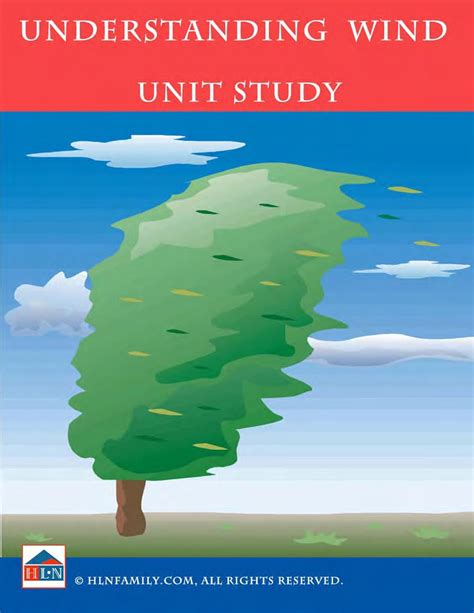 Understanding Wind Unit Study Edition 1 Furumoto Laurie