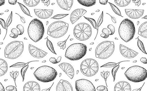 Doodle Art Wallpaper Black And White - 735x466 - Download HD Wallpaper ...