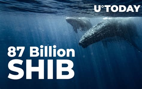 Whale Buys 87 Billion SHIB While Shiba Balance Of Top Investors Shrinks