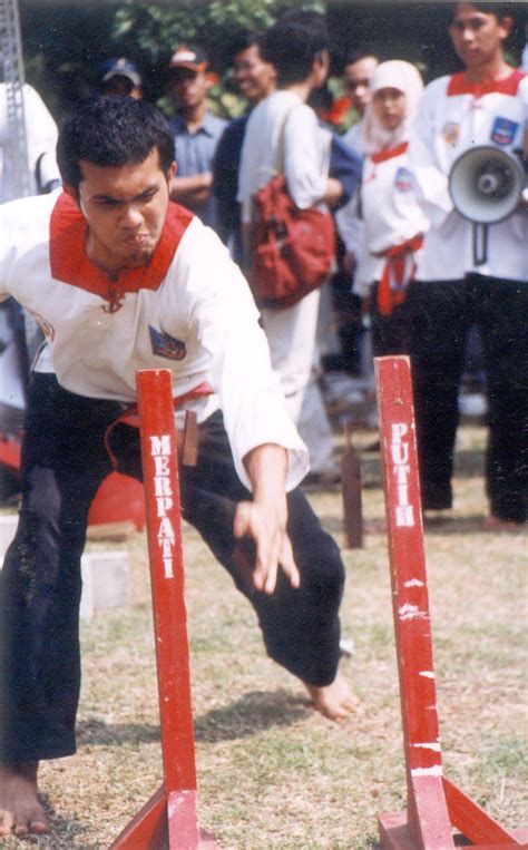 Pencak Silat Merpati Putih Pencak Silat Merpati Putih Penc Flickr