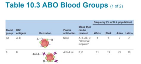 Blood Groups And Transfusions And Human Blood Groups Th Flashcards