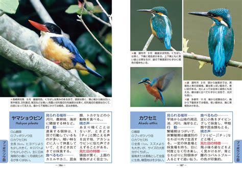 野鳥図鑑おすすめランキング11【バードウォッチング、鳴き声、大人、子供、人気】 ラモlabo