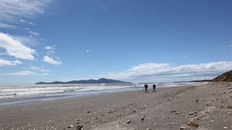 Kapiti Coast | Nicky & Cookie