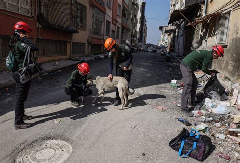 Un Nuevo Terremoto De Magnitud 6 4 Sacudió El Sureste De Turquía