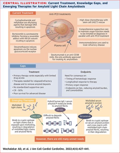 French Working Group Of Cardio Oncology Frenchcardioonc Twitter