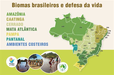 O Que Bioma Significado Quais So Os Biomas Brasileiros