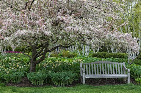 Anne Belmont Photography Spring Landscapes Of The Chicago Botanic Garden