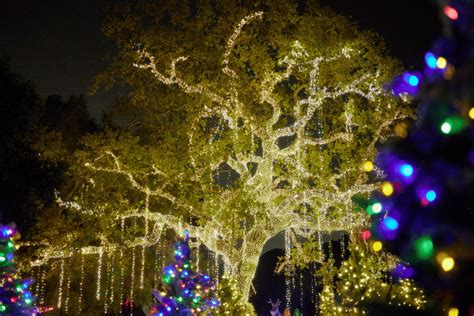 Best Places To See Christmas Lights In LA - Secret Los Angeles