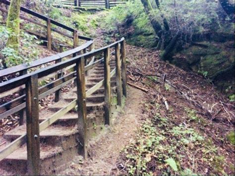 This Mile Hike In Northern California Is Full Of Jaw Dropping Natural