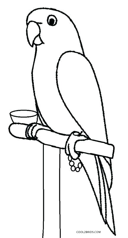 Macaw Coloring Page At Free Printable Colorings