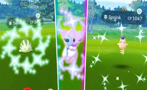 Is Cubchoo Shiny In Pokemon Go? Spotlight Hour Details | BrunchVirals