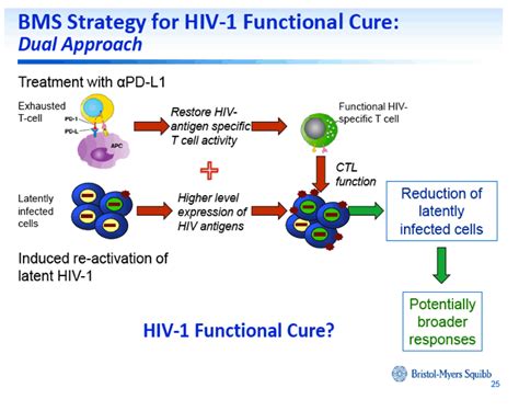 Dual Approach To HIV 1 Cure Activation Of Latency And Restoration Of