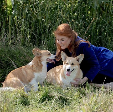 Sarah Ferguson Shares New Photo Of Queen Elizabeth Ii S Beloved Corgis