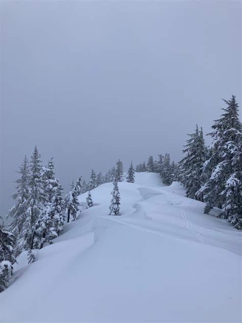 Twin Culverts | Coastal Alaska Avalanche Center