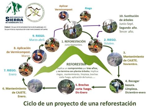 Sierra De Guadalupe Reforestaciones Reforestaciones Con Empresas