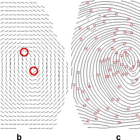 Feature Representation For Fingerprint Recognition A A Grayscale