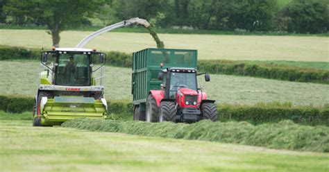 Forfarmers Uk What Are The Benefits Of Multi Cut Silage