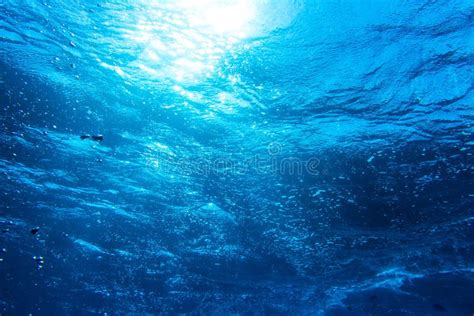 Underwater deep blue sea background. Looking into the sun from the ...