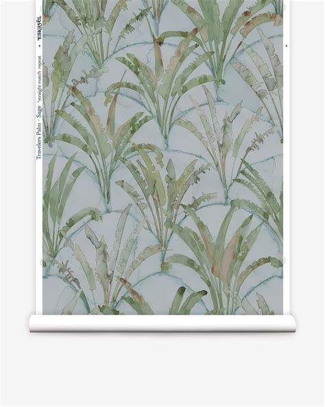 travelers palm wallpaper sage – Eskayel