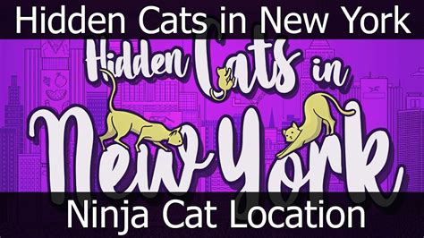 Hidden Cats In New York Ninja Cat Location Achievement Trophy Guide