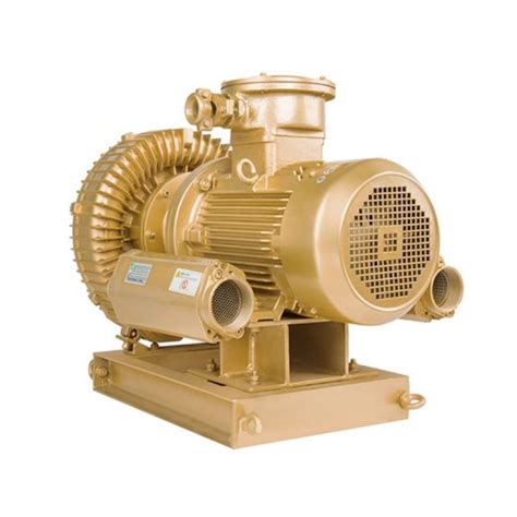 Special Customized Vacuum Blower Pump Oem Air Blower Goorui