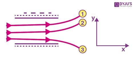 Ncert Solutions For Class Physics Chapter Electric Charges And Fields