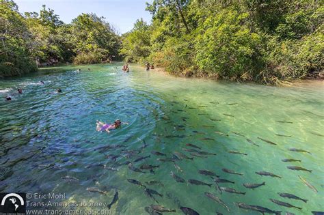 Bonito Brazil Adventure Travel Guide - Trans-Americas Journey