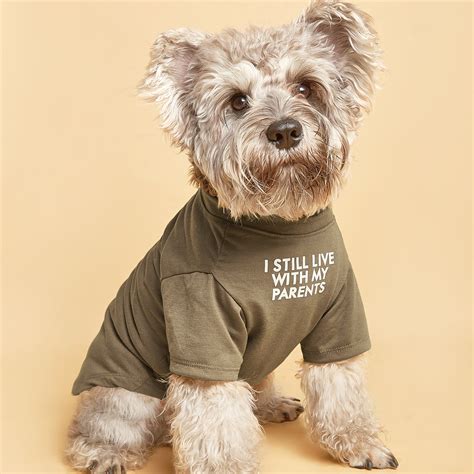 Pet Clothes For Small Medium Dog Brown Words Pattern Pet Tee Pet ...