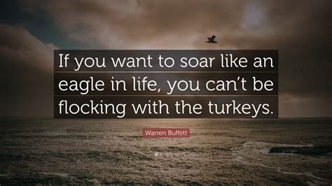 Warren Buffett Quote If You Want To Soar Like An Eagle In Life You