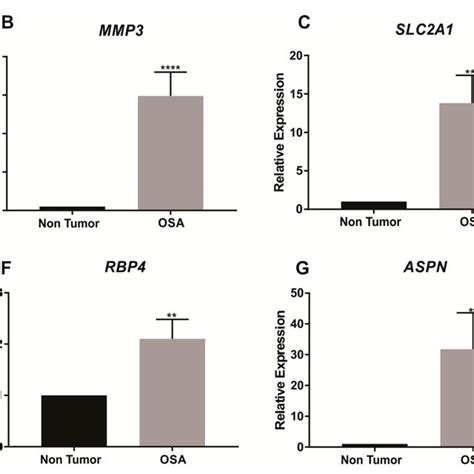 Qrt Pcr Validation Of Rna Expression Comparing Osteosarcoma Tumor