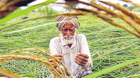 Authenticating Farmers Punjab Mlas To ‘facilitate State Set For