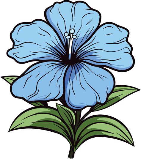 Blue Hibiscus Flower Illustration 49424714 Vector Art At Vecteezy