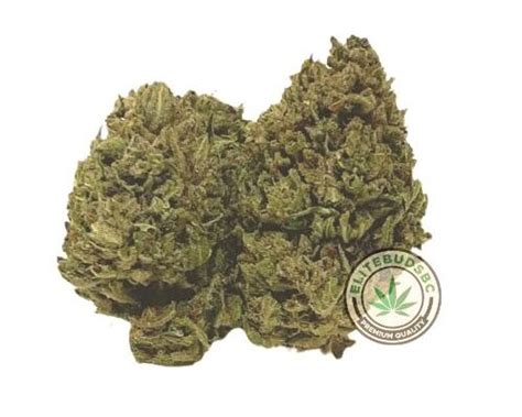 Buy GORILLA GLUE #4 (AAA) Online | Elite Buds BC