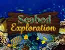 Seabed Exploration Hidden Games Walkthrough