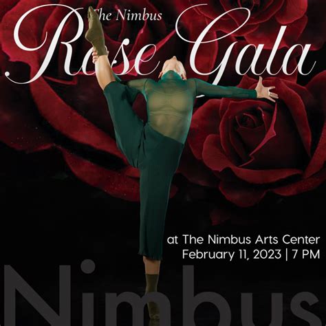 The Nimbus Rose Gala Hudson County