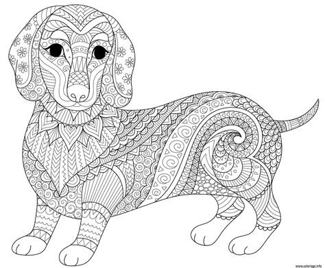 Coloriage Chien Saucisse Dachshund Teckel Mandala Animaux Jecolorie