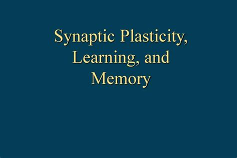 PPT - Synaptic Plasticity, Learning, and Memory PowerPoint Presentation ...