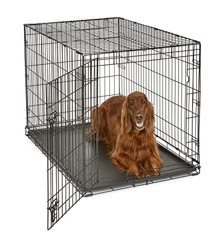 Best Chew Proof Dog Crate in 2022 (With Reviews!)